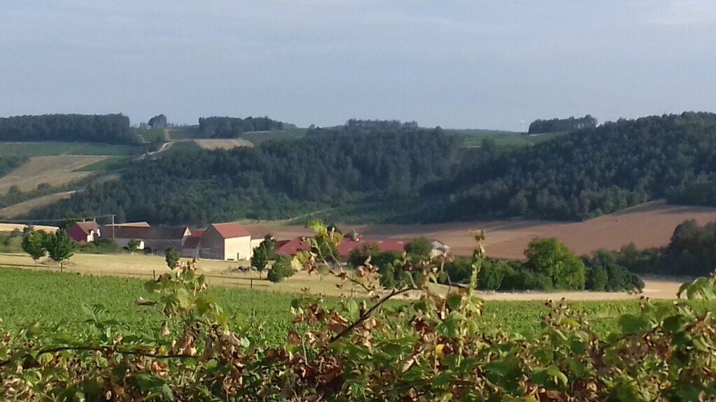 FERME DE CHEREVIE